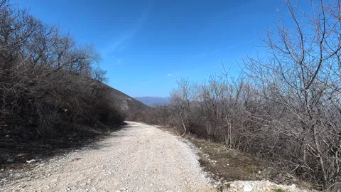 Sunlit gravel path winds through bare trees. Balkan, Eastern Europe, POV Video stock 331453388