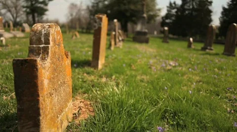 Sunlit graveyard Stock Footage 682402