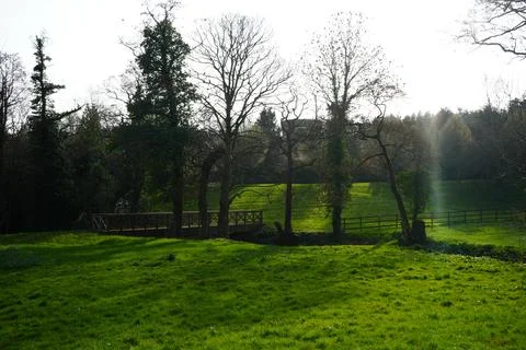 Sunlit Green Field, Bare Trees, Bridge In Barlow, North East Derbyshire, 스톡 사진