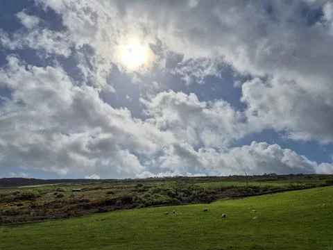Sunlit green pasture under dramatic cloudy sky 写真素材