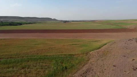 Sunlit green wheat fields cultivated by dry farming, stock footage. Stock Footage 304936531