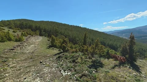 Sunlit hills roll beneath a clear blue sky. Balkan, Eastern Europe, POV Vidéo 333440251