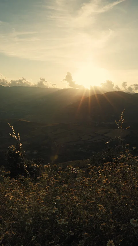 Sunlit hillside landscape fading into soft morning haze Stock Footage 336569315