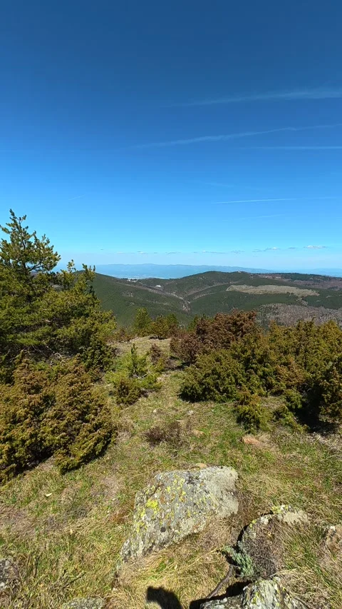 Sunlit hillside with pine trees and scattered rocks. Balkan, Eastern Europe, POV Vídeos de archivo 333634993