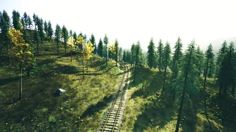 Sunlit hillside railway weaving through delicate pine trees and open spaces Vídeos de archivo 341600787