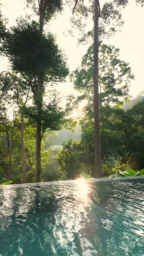 Sunlit infinity pool surrounded by lush tropical rainforest Stock Footage 337977631