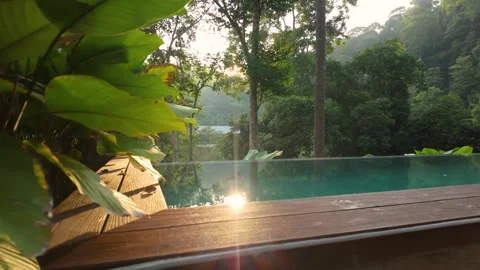 Sunlit infinity pool surrounded by lush tropical rainforest Stock Footage 337990872