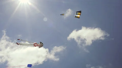 Sunlit Kites riding the wind as clouds pass in the distance Stock Footage 238556012