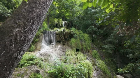 Sunlit Limestone Cascade Behind Foreground Tree At Erawan National Park Stock Footage 339085172