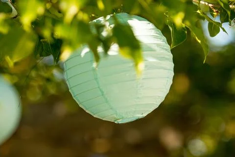 Sunlit Macro Sphere Lantern Amongst Green Leaves Foto stock