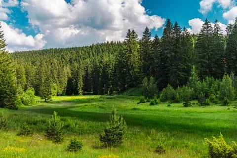 Sunlit Meadow Beneath Dramatic Clouds Foto stock