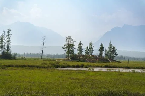 Sunlit meadow with distant mountain range Stock Photos