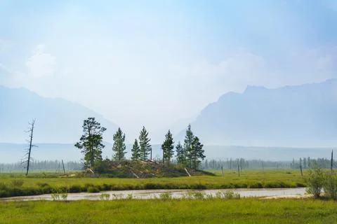 Sunlit meadow with distant mountain range Foto stock
