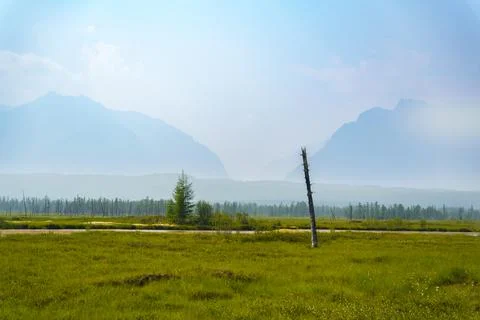 Sunlit meadow with distant mountain range Stock Photos