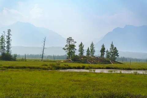 Sunlit meadow with distant mountain range Stock Photos
