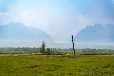 Sunlit meadow with distant mountain range Stock Photos