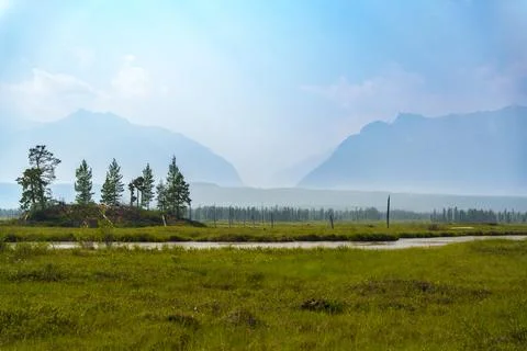 Sunlit meadow with distant mountain range Stock Photos