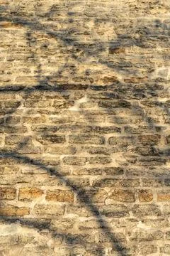 Sunlit medieval stone wall with tree shadows at golden hour 写真素材