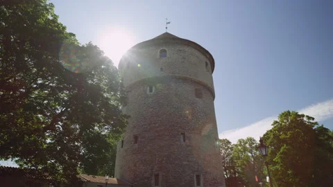 Sunlit Medieval Tower Amidst Lush Trees In Tallinn, Estonia 動画素材 295077230