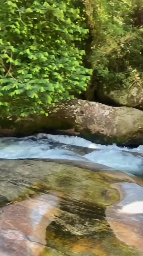 Sunlit Mountain Brook Rapids Stock Footage 341629147