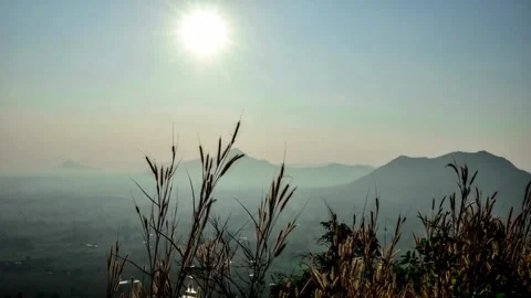 Sunlit Mountain Landscape with Wild Grass in Foreground Stock Footage 310376550