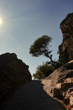 Sunlit Mountain Path in Oman with Stone Walls Stock Photos