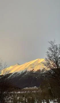 Sunlit mountain peak with bare trees Stock Photos