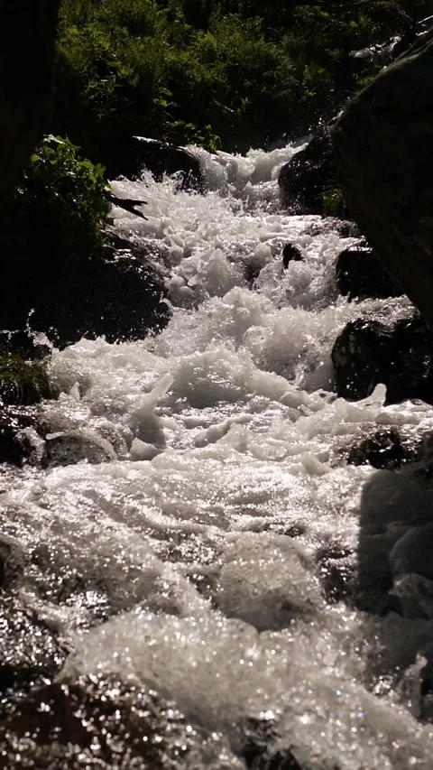 Sunlit mountain stream rushing over rocks in a green forest Stock Footage 341666187