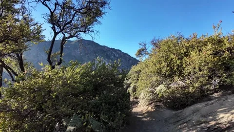Sunlit Mountain Trail Through Ijen Volcanic Ridge Landscape Stock Footage 345136699