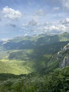 Sunlit Mountain Valley With Forested Slopes. Stock Photos
