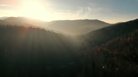 Sunlit Mountain Valley with Misty Forest. Serene mountain valley bathed in Stock Footage 293816727