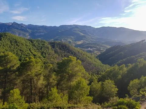 Sunlit Mountains and Pine Forests Stock Photos
