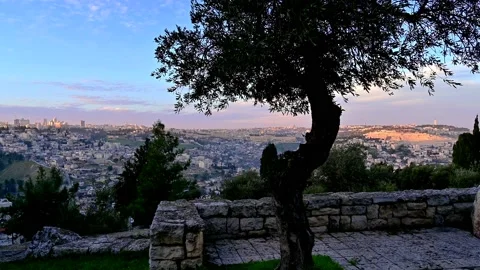 Sunlit panorama of Jerusalem with olive tree 4K Stock Footage 151637743