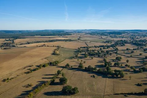 Sunlit patchwork farmland and hedgerows panorama 스톡 사진