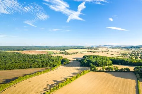 Sunlit patchwork fields and woodland panorama Fotos de archivo