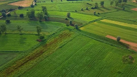 Sunlit Patchwork Fields Blanket French Countryside Aerial Stock Footage 339985808