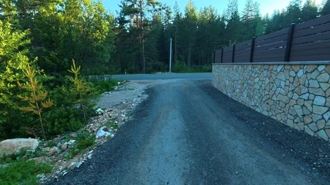 Sunlit path leads through forested area. Durmitor, Montenegro Stockbeeldmateriaal 342980259