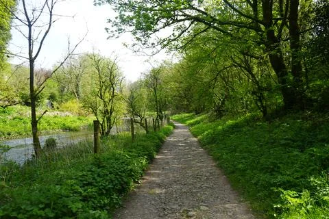 Sunlit Path By River Through Green Trees In Youlgrave, The Peak District, Stock Photos