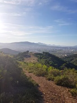 A Sunlit Path Through the Forest Stock Photos