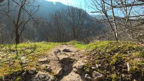 Sunlit path winds through bare branches. Mount Ozren Видео 330958049
