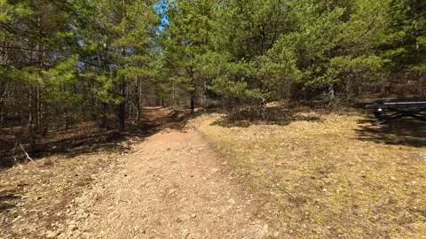 Sunlit path winds through dense forest trees. Balkan, Eastern Europe, POV Video stock 331781274