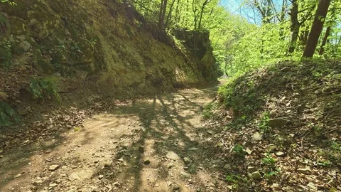 Sunlit path winds through green forest. Balkan, Eastern Europe, POV Video stock 333349400
