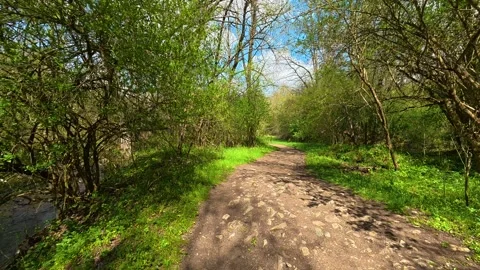 Sunlit path winds through green trees. Near Rosomac Canyon, Serbia Stock Footage 335538095