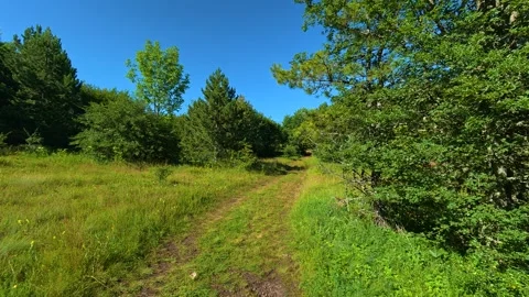 Sunlit path winds through vibrant green meadow. Kozji Kamen area Serbia Stockbeeldmateriaal 342340162