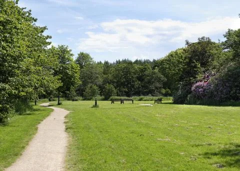Sunlit path winds through vibrant green grass Stock Photos