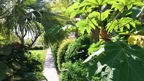 Sunlit pathway in a lush green park in Monte Carlo Stock Footage 337513826