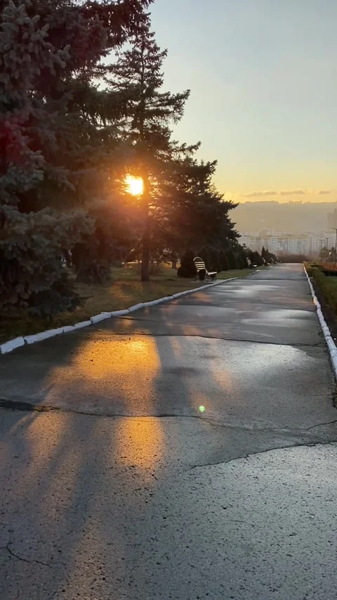 Sunlit pathway through serene park, sunset shadows dancing on wet pavement Stock Footage 300865499
