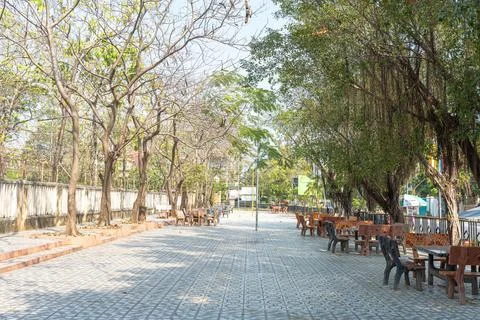 Sunlit paved park pathway lined with mature trees wooden benches and tables Stock Photos