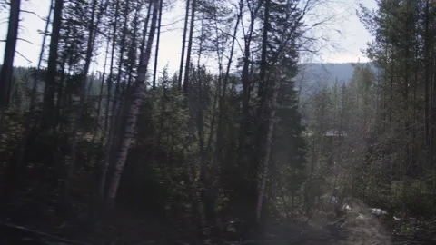 Sunlit Pine Forest and Snow Patches Viewed from Train on Norway's Stock Footage 340374654