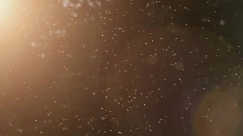 Sunlit Pollen Dust Motes Air. Stock Footage 306646796
